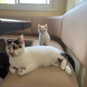 Meet your Posher, April